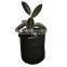 Breathable gardening felt fabric potato planting grow bag