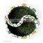 Hot Selling  Home and Garden Succulent Plant Pot