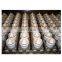 cone ice cream filling machine