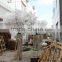 Factory new products artificial ficus tree for decoration on sale