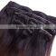 Ombre Colored Lace Full Head Russian Brazilian Indian Remy Human Clip in Hair Extensions