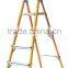 Fiber glass ladder/Household fiber glass ladder/step ladder