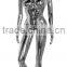 Cheap Cheap Cheap plastic multi-style electroplating female Mannequins without face big breast sexy manikin for clothes shop