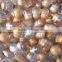 Road Stud Reflector Glass Beads Cat Eyes