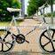 20 Inch Fixie Bike / Single Speed Bike Fixed Gear / Aluminum Alloy Bicycle Frame and Fork