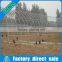 Professional solar high tunnel hot galvanized steel green houses for agriculture