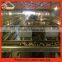 Top Selling raising broiler chickens/broiler cage equpments