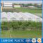 Factory price white color Apple Tree Anti Hail Net, 45g 50g 55g 60g 70g/m2 Anti Hail Net with UV protection in rolls