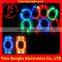 light up led shoelace school students party favor festival