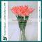 China natral real touch tulip handmade decoration artificial flower drawing