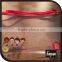 logo printing PVC zipper bag