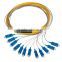 sc corning fiber optical pigtail,optical pigtail fiber,12 core fiber optic pigtail