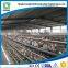 Modern steel structure chicken hangar