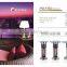Carbon Infrared Heater with Led Lighting and IR Sensors