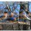 wholesale acrylic window hummingbird feeders