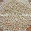 Virgin and Recycled Plastic UPVC Compound Granules for Pipe Fitting