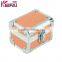 Elegant Famous Brand Aluminum Wrist Watch Storage Box