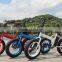 2016 hot selling 20 inch 300W folding fat tire e bike mini fat tire electric bike made in china for sale