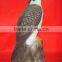 Hotsale plastic hawk decoy for Hunting or garden decoartion