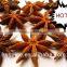 Good Aroma Well Dried Star Aniseeds