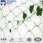 2015 new hdpe uv treated peas climbing bop climbing net/trellis support netting/plant climbing plastic wire mesh for cucumber