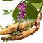Manufacture High Quality nutrition Factory pueraria lobata flour,puerarin flour