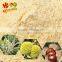 Freeze-dried (FD) Pure Chestnuts Flour---nice color and best quality