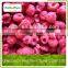 Frozen raspberry whole