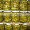 Best selling Pickled cucumbers in jar, pickled gherkins by Hagimex, good quality, cheap price!