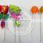 Fruits Jelly Ball Gummy Lollipop