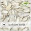 Wholesale sunflower seeds kernel competitive price