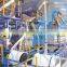 Palm oil extraction equipment to red palm oil