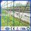 Anping Deming hot sale galvanized or pvc coated rural fencing wire single strand barb wire