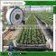 Drip irrigation tape with double line for water saving