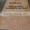 High class Plywood from Vietnam for Furniture