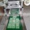 Soap Pillow Packing Stamping Machine