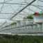 RoughBrothers Coldframe Series Galvanized Steel Frame Vegetable Tunnel Plastic Greenhouse