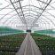 chengdu BaoLiDa low price 20 micron polythene greenhouse pe film greenhouse
