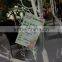 SJLJ0530 hot selling artificial tree without leaves / artificial dry tree