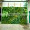 2017 Hot sale UV Anti manufacturer foliage outdoor artificial green wall