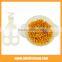 Universal Kitchen Necessary Multifunction Kitchen Food Scissors