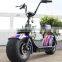 2017 zhejiang factory latest Steel quality citycoco electric ebike fat economic model