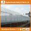 Heracles Trade Assurance Vegetable Seeds Greenhouse
