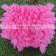lace cotton baby tutu bloomers kids ruffle underwear