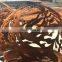 Sphericity Corten Steel Fire Pit Bowl