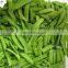 Sinocharm BRC A Approved  L5-9CM Snow Pea IQF Peapod Whole Frozen Green Pea Pods