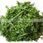 Electric Multifunctional Leaf Vegetable Spinach Cutting Machine