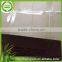 2016 The Newest top quality bamboo toothpicks party