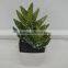 Best selling high simulation tropical plants artificial mini cactus plant