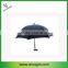 Walking Stick Umbrella